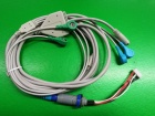 Physiotherapy cables